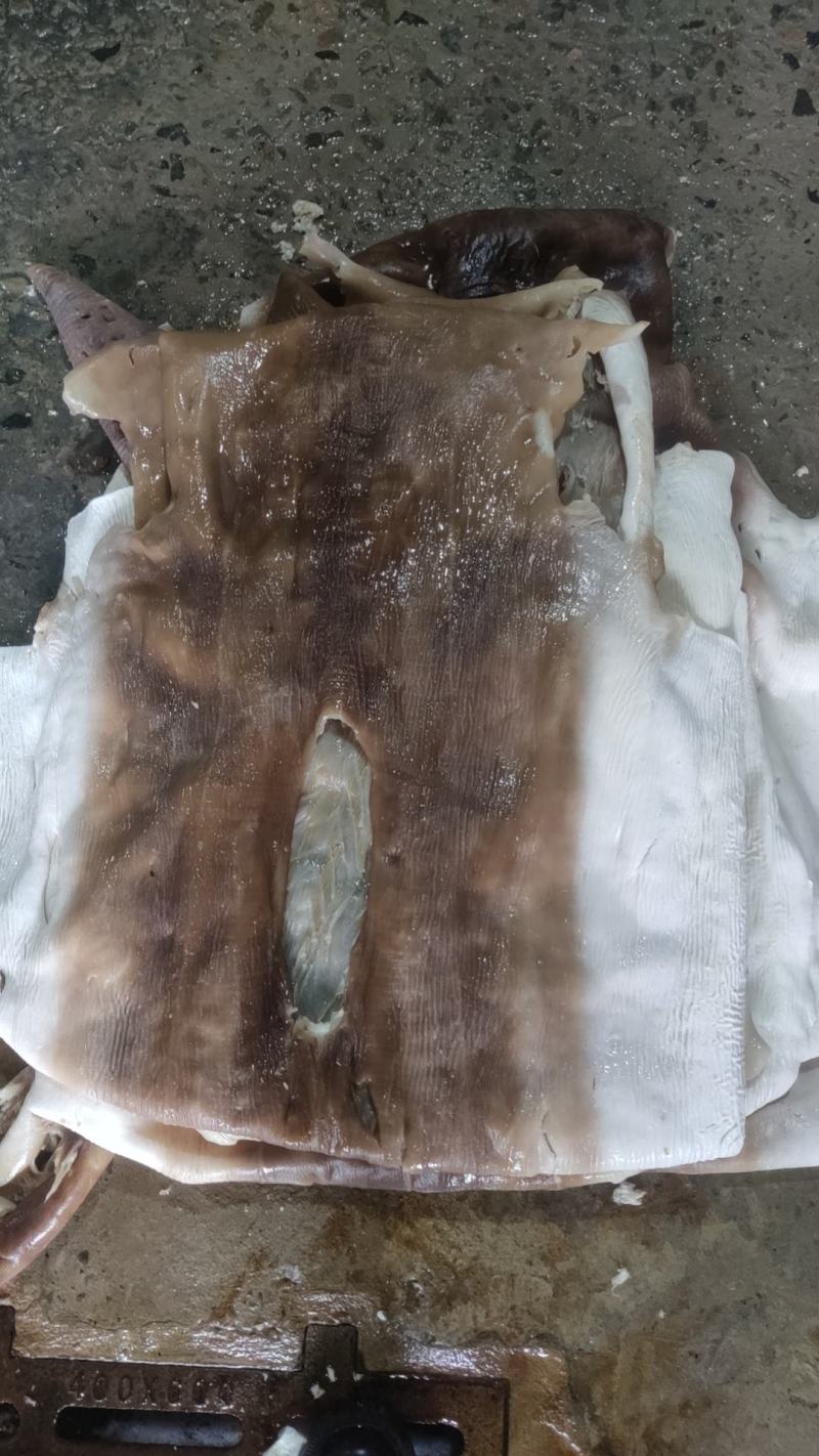 【烧鲨鱼皮】