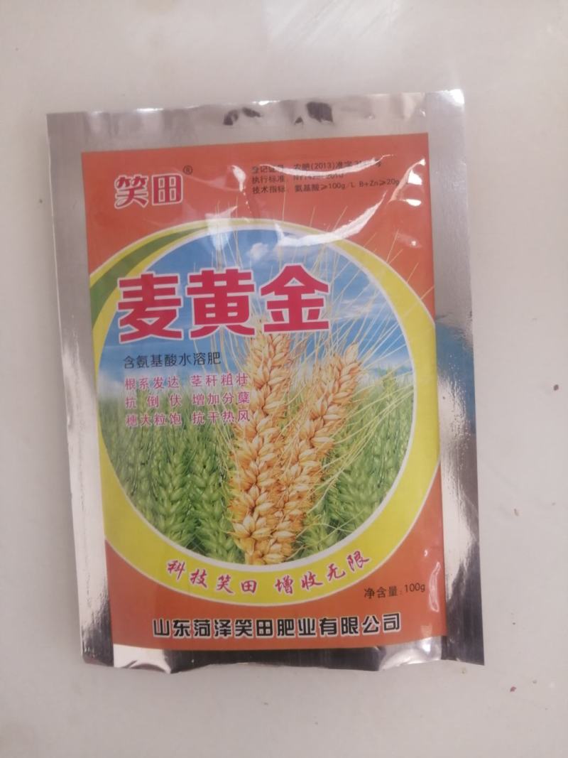 麦黄金，根系发达，茎杆粗壮，抗倒伏，增加分蘖，穗大粒饱