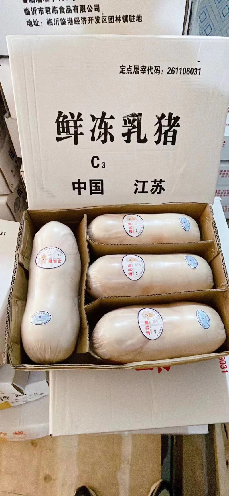 鲜冻乳猪连云港厂家直供货源稳定量大从优欢迎电联采购