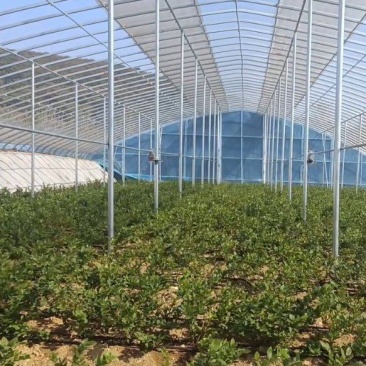 全套蔬菜大棚尺寸齐全种植通用钢架大棚全国发货包建
