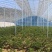 全套蔬菜大棚尺寸齐全种植通用钢架大棚全国发货包建