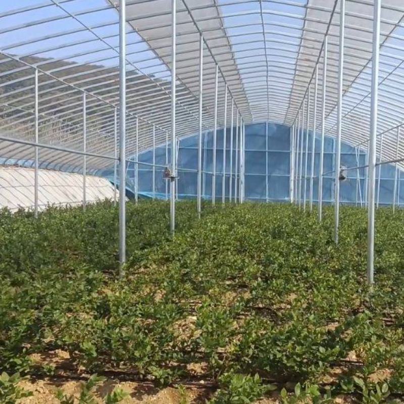 全套蔬菜大棚尺寸齐全种植通用钢架大棚全国发货包建