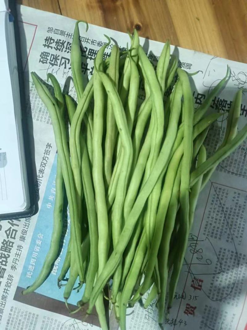 云南孟定无筋豆大量上市，露天新苗，
