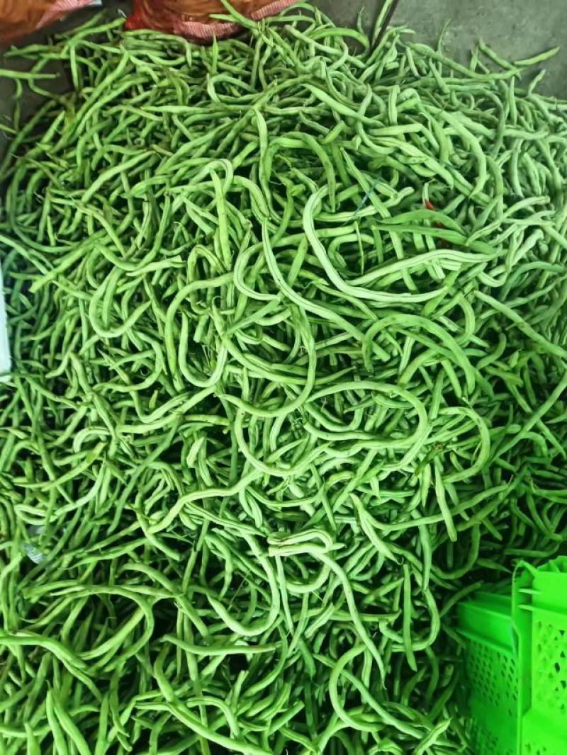 云南孟定无筋豆大量上市，露天新苗，