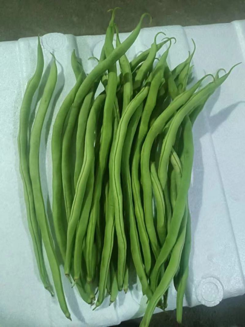 云南孟定无筋豆大量上市，露天新苗，