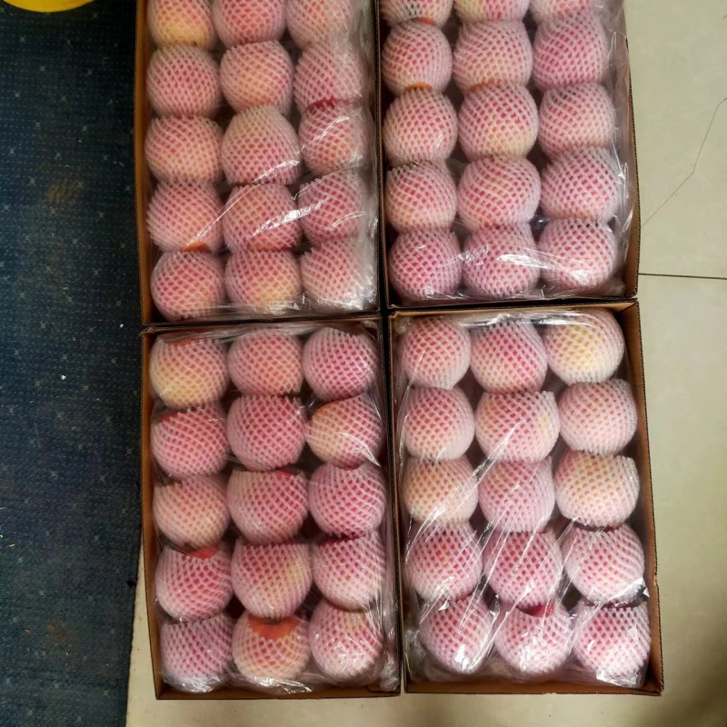 产地大量销售丹霞苹果价格优惠，品质好