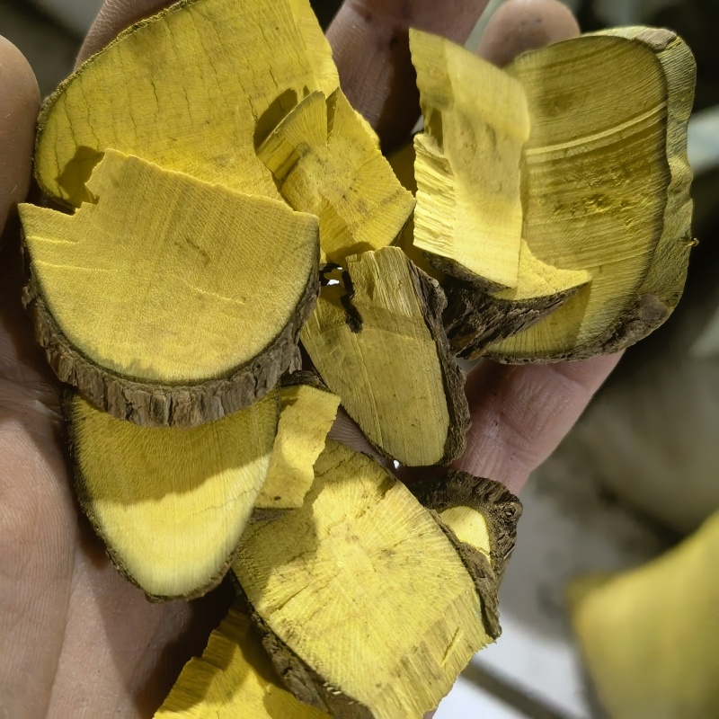 功劳木新货无硫关书药业批发各种规格中药材