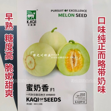 蜜奶香甜瓜种子糖度高脆嫩甜爽产量高奶香味甜瓜种子香瓜种籽