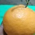 耙耙柑