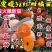 爱媛38柑橘苗无籽无渣口感甜基地直发保湿发货