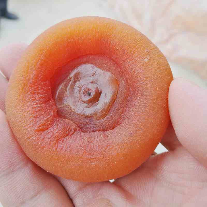 【年货特价】广西精选农家柿子饼手工天然霜降晾晒流心出口级