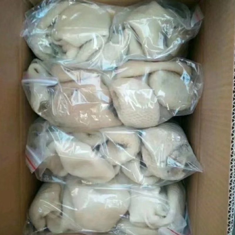 干净无异味剃毛牛肚，日期新鲜，无调理，货发全国。