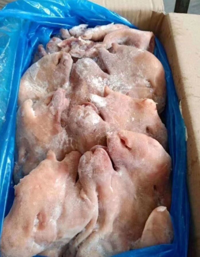 干净无异味剃毛牛肚，日期新鲜，无调理，货发全国。