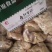 干净无异味剃毛牛肚，日期新鲜，无调理，货发全国。