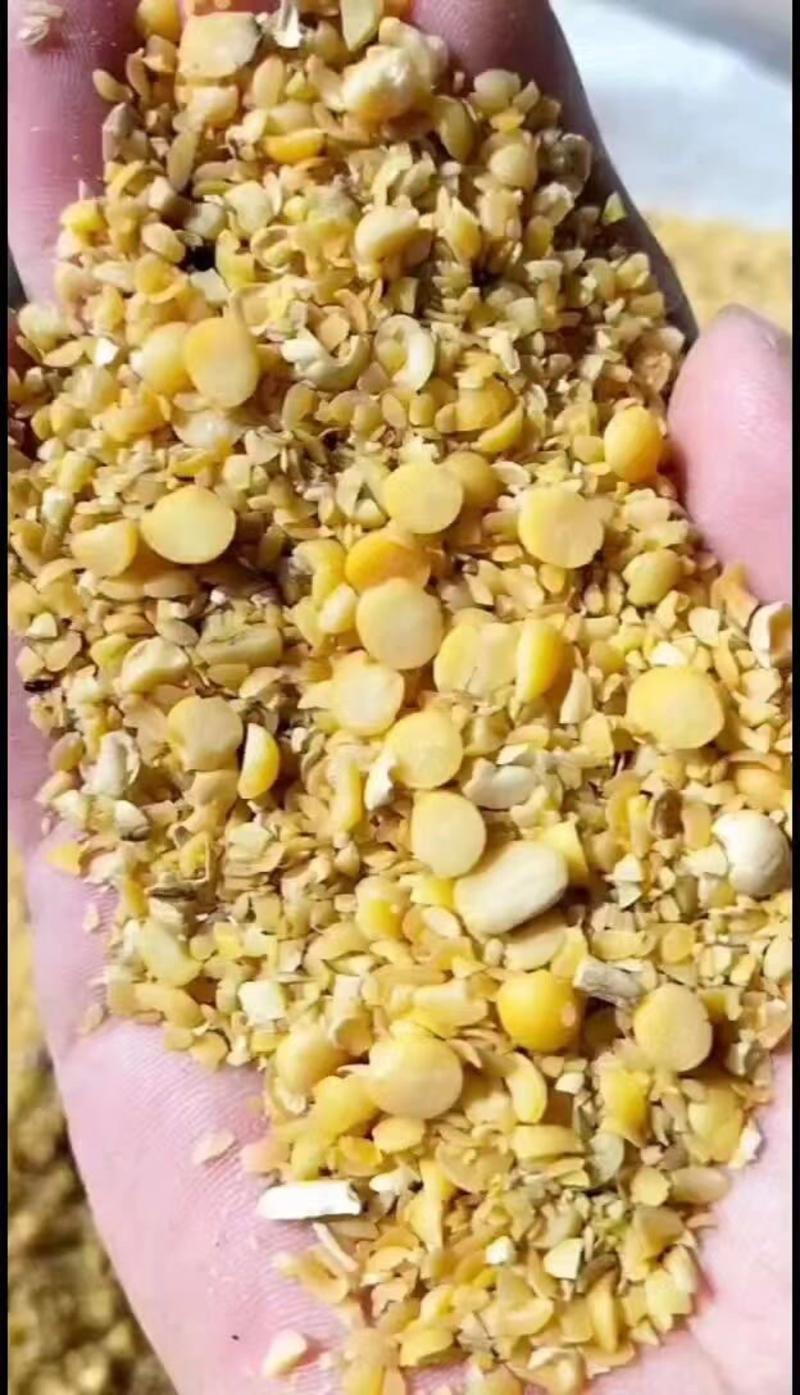 大豆粒子,豆制品下脚料大豆瓣肥料碎粒处理黄豆次品