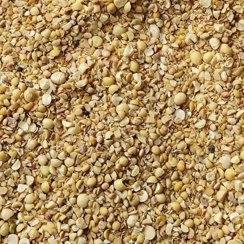 大豆粒子,豆制品下脚料大豆瓣肥料碎粒处理黄豆次品