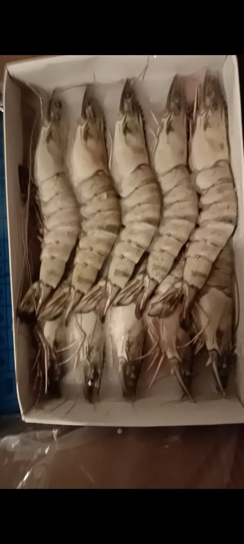 【实力推荐】黑虎虾，货源充足可全国发货，品质保证