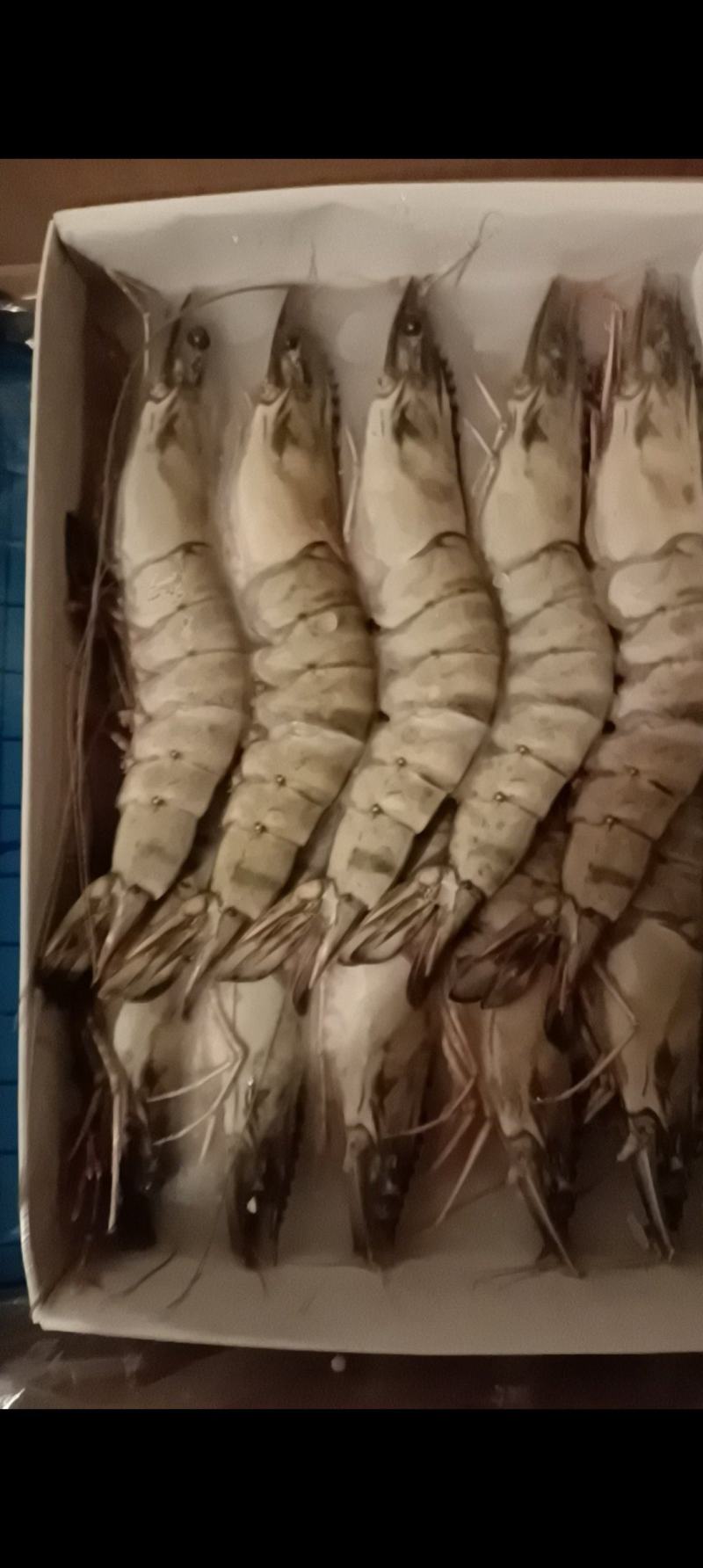 【实力推荐】黑虎虾，货源充足可全国发货，品质保证
