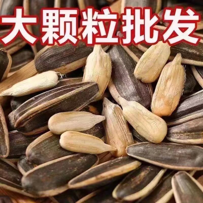 现炒特大瓜子批发内蒙古颗粒原味葵花籽新鲜新货炒熟散装