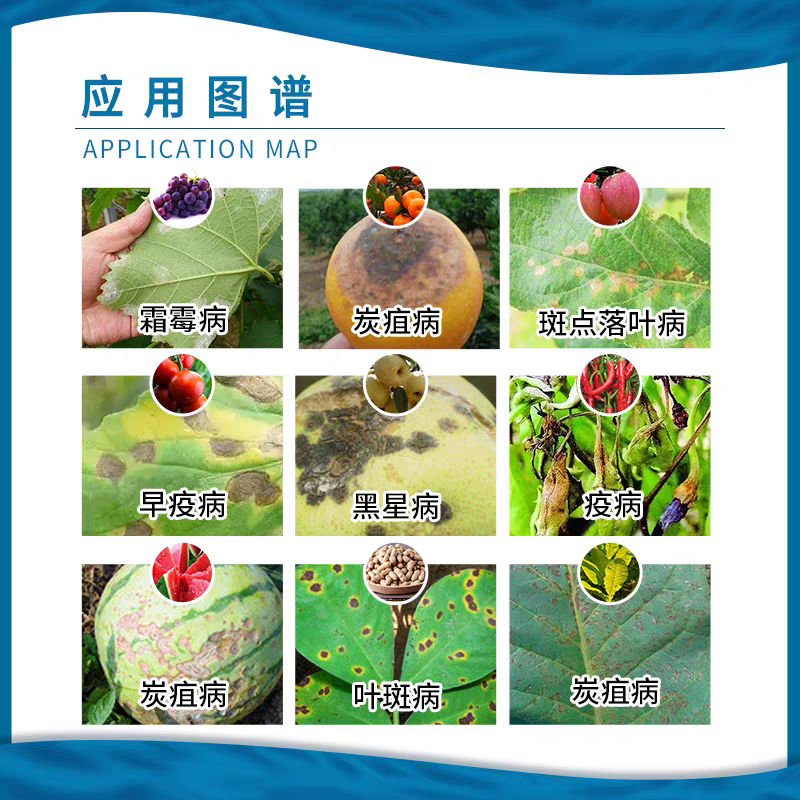 龙灯至伏保大生代森锰锌土豆蔬菜白粉病黑斑病广谱保护杀菌剂