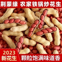 农家铁锅炒花生零食2023年新货新鲜带壳原味四粒红衣红皮