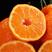 不知火丑橘现摘现发福利价眉丑橘，树上鲜果，水分充足，纯甜