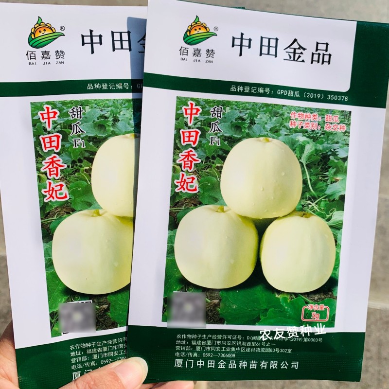中田香妃甜瓜种子薄皮甜瓜种子水果香瓜种子甜度高耐湿热