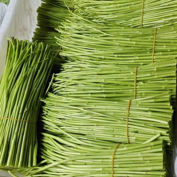 1月26号现货