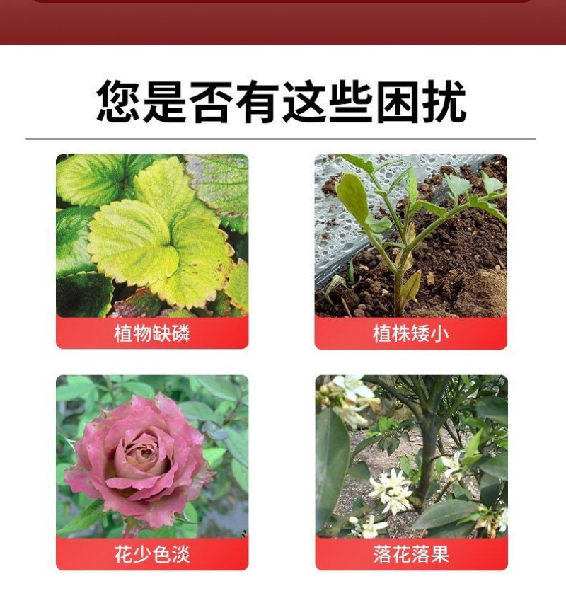 奥丰花多堡高磷促花花多花壮保花保果催花促花高磷肥