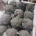《荐》云南西兰花一手货源量大从优品种齐全可视频