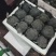 《荐》云南西兰花一手货源量大从优品种齐全可视频