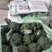 《荐》云南西兰花一手货源量大从优品种齐全可视频