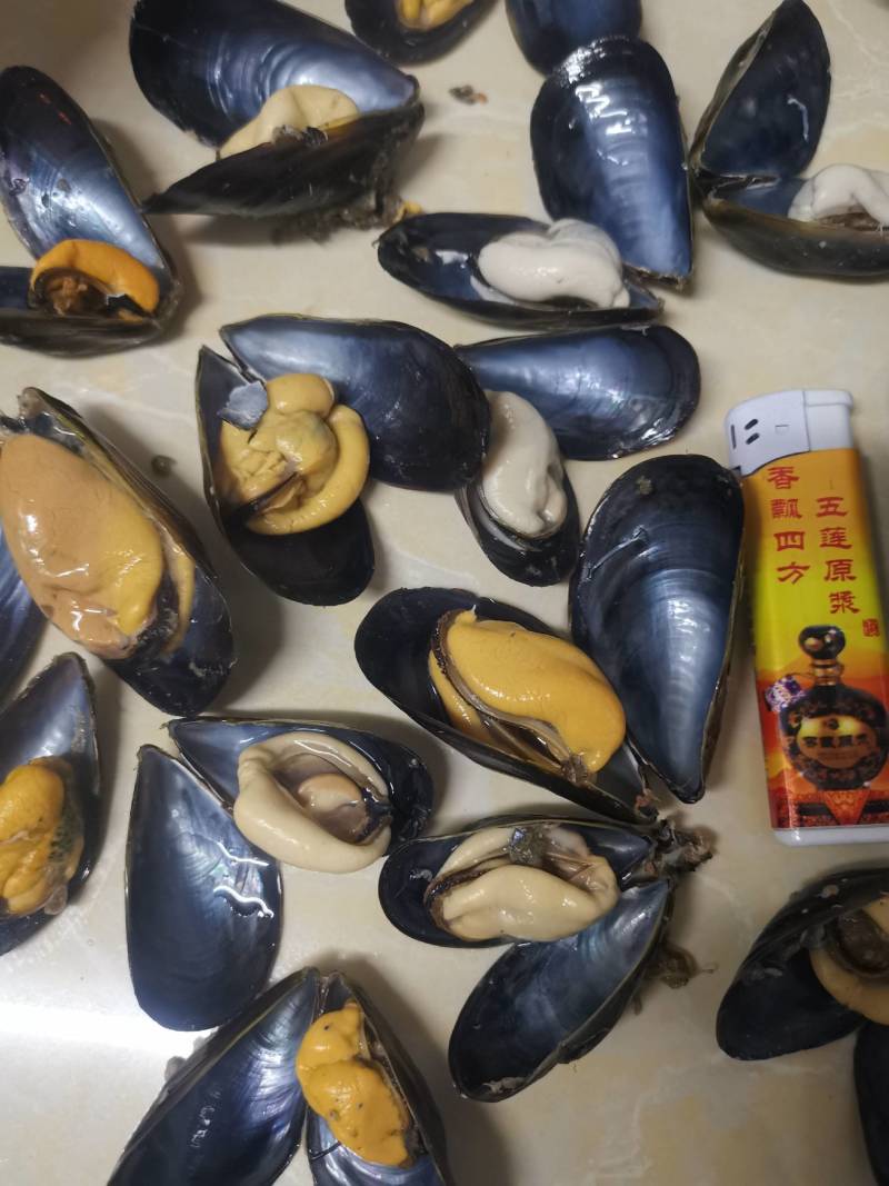 大家好，海虹便宜了，需要的老板们私聊我吧