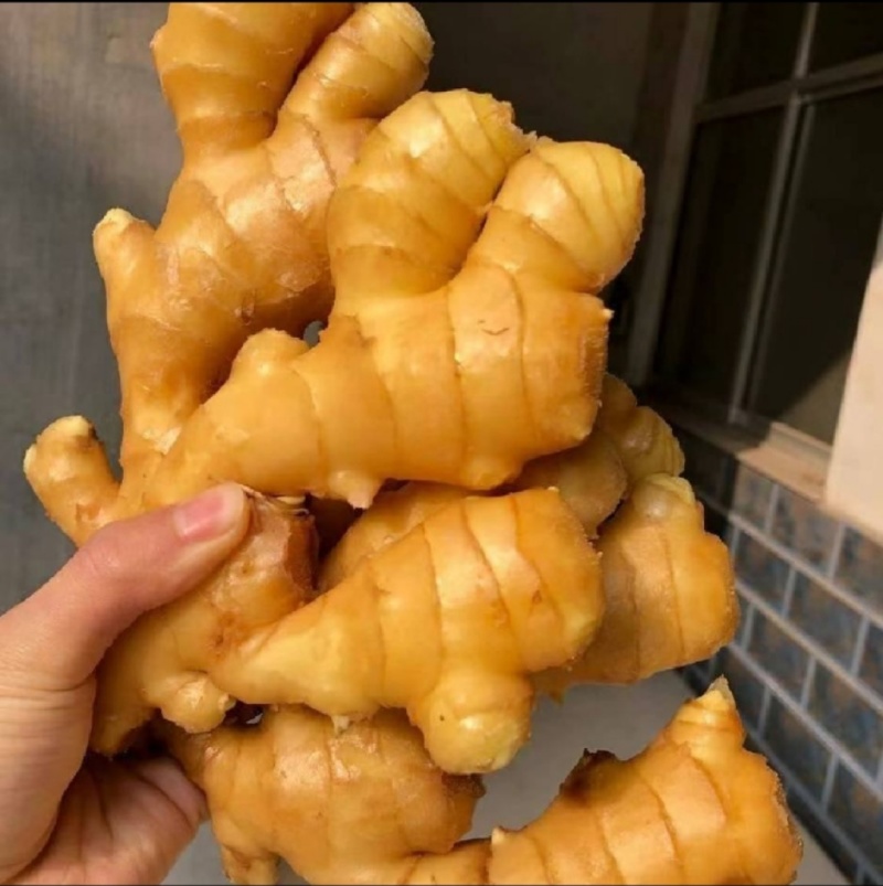 《生姜》鲜姜上市，大量供应，质量保证，承接电商团购