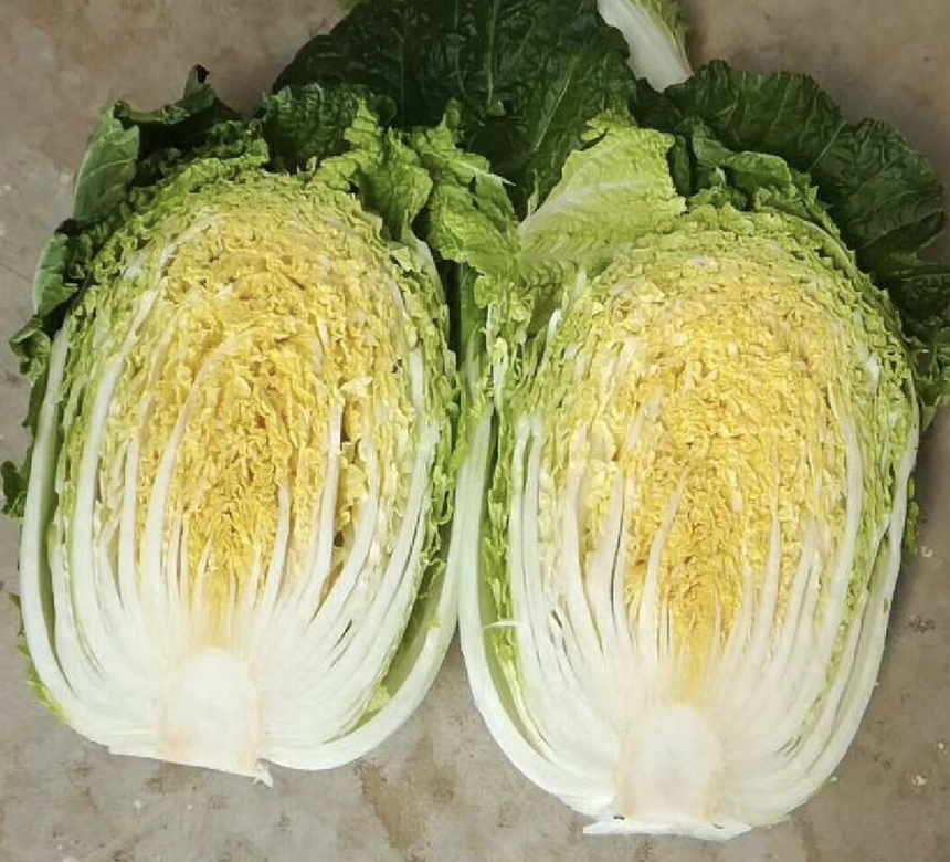 黄心白菜切段与粉条泡发过程