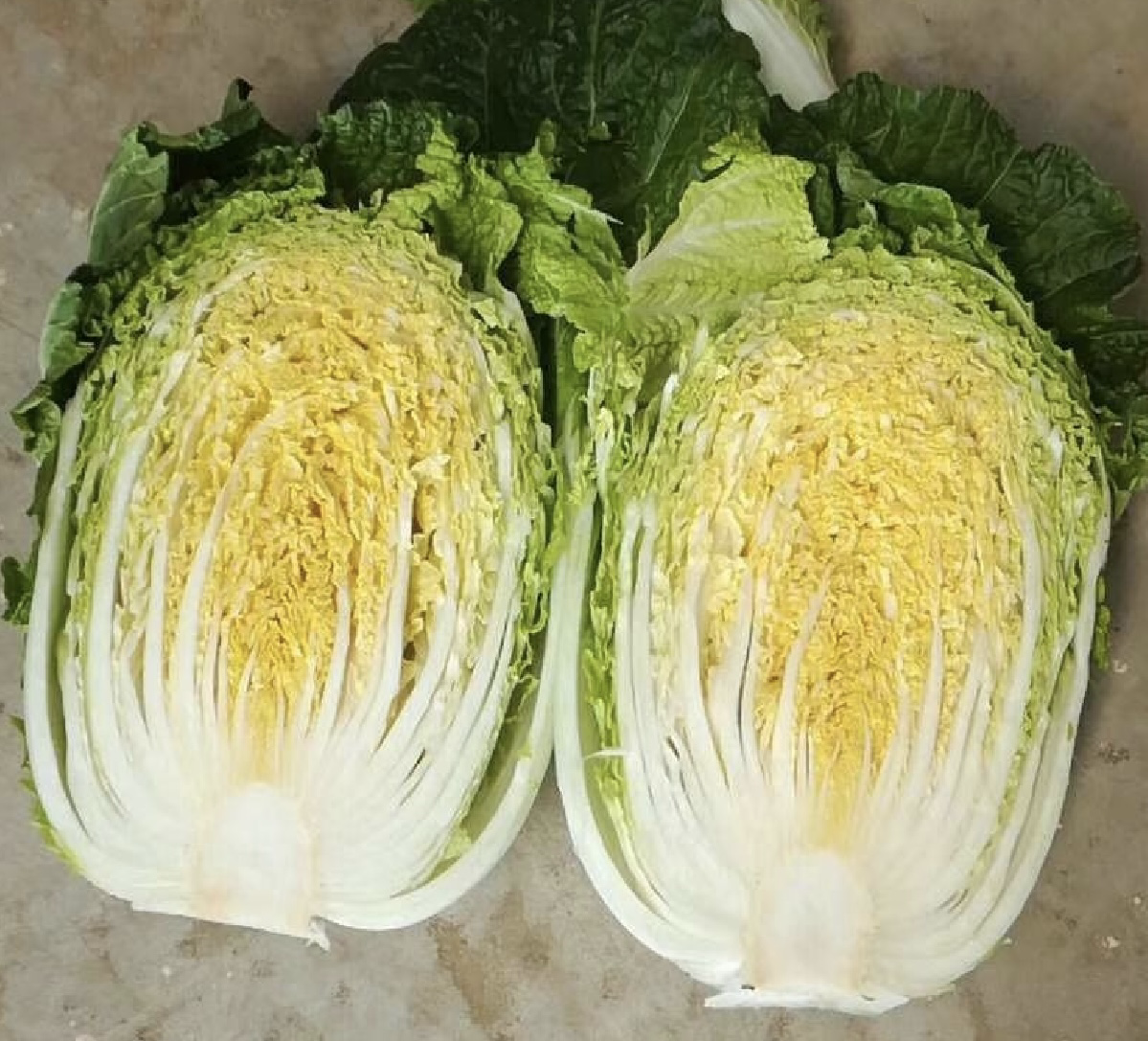 黄心白菜剖面特写图,清晰展示其金黄色菜芯与翠绿色外叶的自然过渡 黄心白菜特写展示图