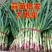 蒜苗红根蒜苗四季蒜苗产地一手货源保质保量欢迎订