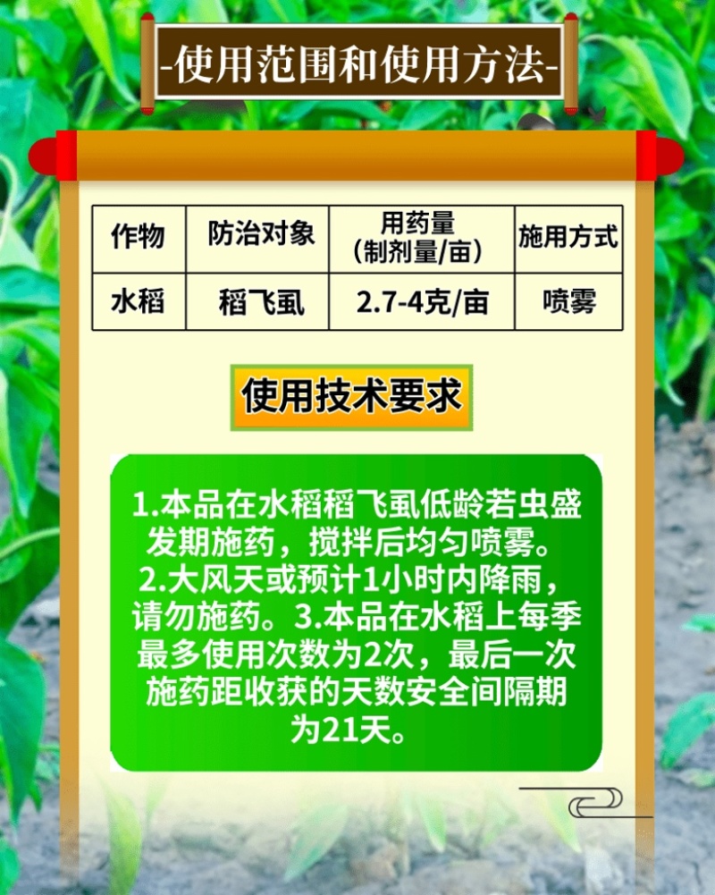 50%烯啶虫胺蚜虫蓟马飞虱粉虱抗性虫杀虫剂