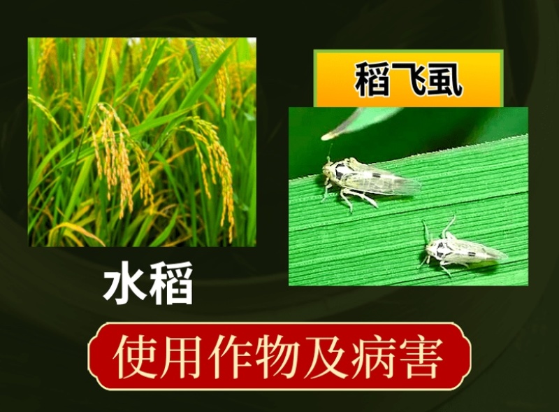 50%烯啶虫胺蚜虫蓟马飞虱粉虱抗性虫杀虫剂