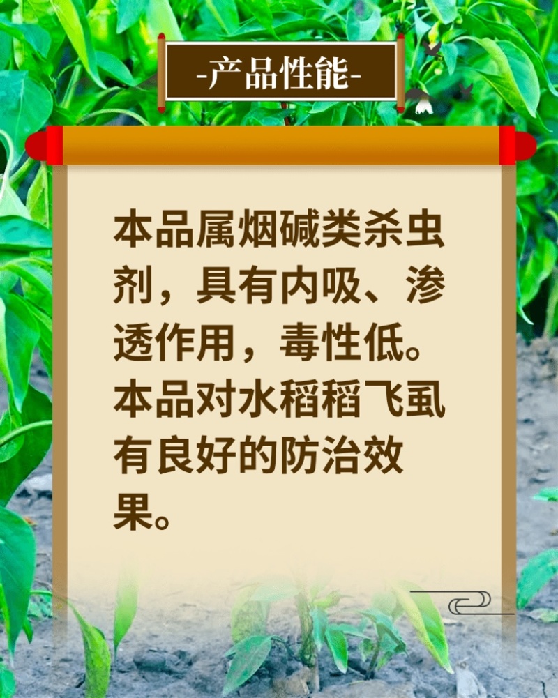 50%烯啶虫胺蚜虫蓟马飞虱粉虱抗性虫杀虫剂