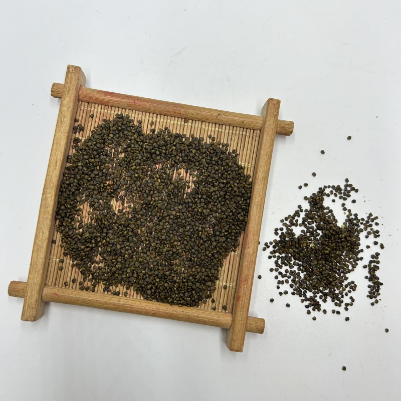 浙江沙苑子沙苑子颜色好新货散装选货中药材批发各种规格齐全