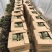 【推荐】江苏盐城东台西瓜8424西瓜实力代办货源充足产地