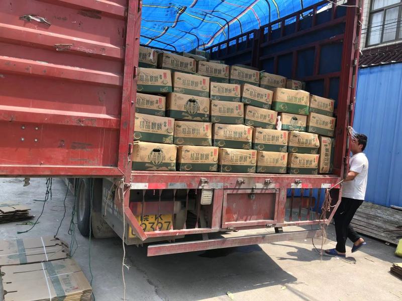 【推荐】江苏盐城东台西瓜8424西瓜实力代办货源充足产地