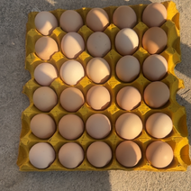 农家自养土鸡蛋