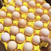 精品土鸡蛋鲜鸡蛋无抗蛋初生蛋170一件360枚净重45斤