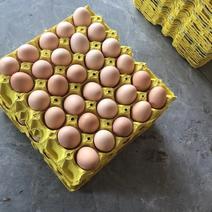精品土鸡蛋鲜鸡蛋无抗蛋初生蛋170一件360枚净重45斤
