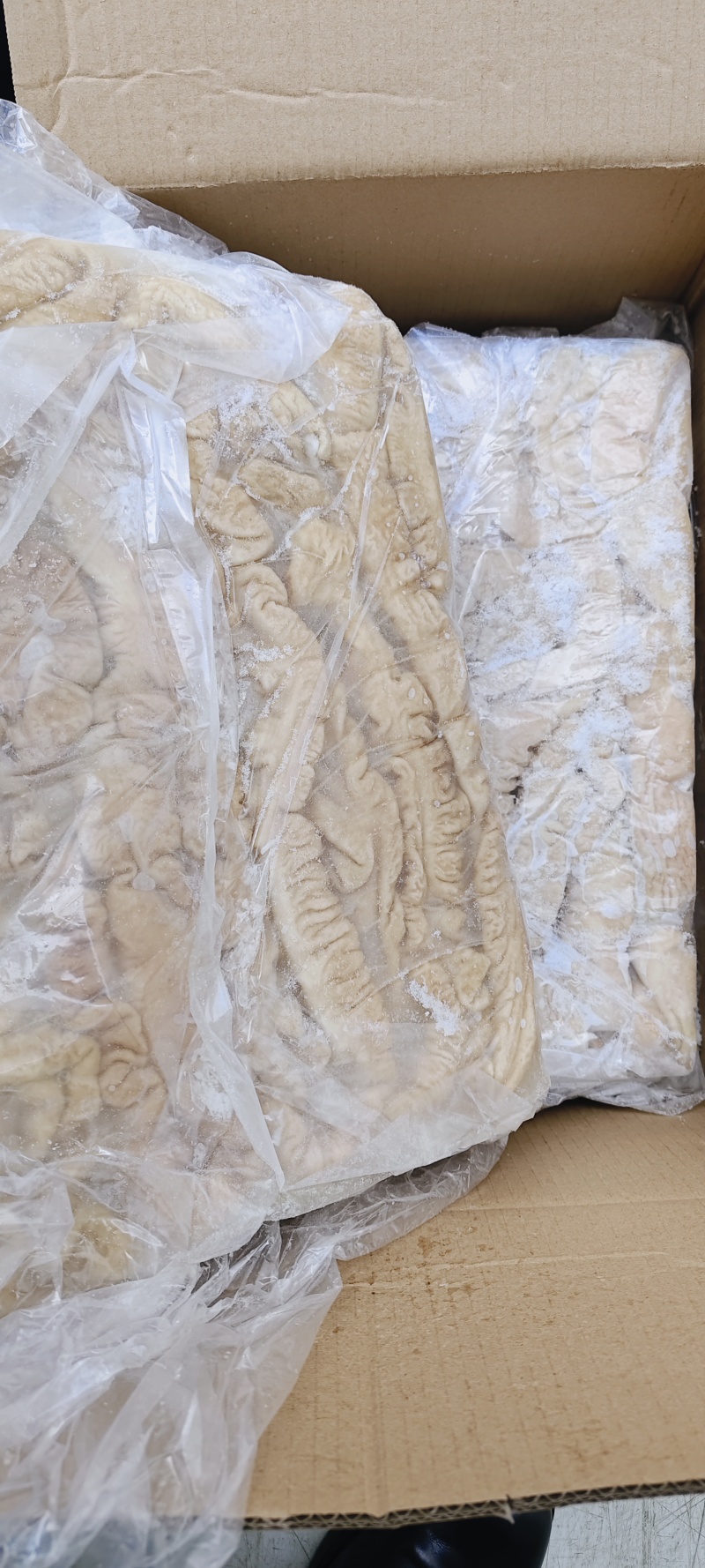 大肠，预煮大肠，纯干货，生大肠，大肠头，纯干去油干净
