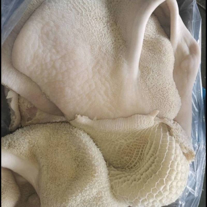 牛肚水熟无碱发水发牛肚牛肚牛肚牛肚牛肚牛肚熟牛肚