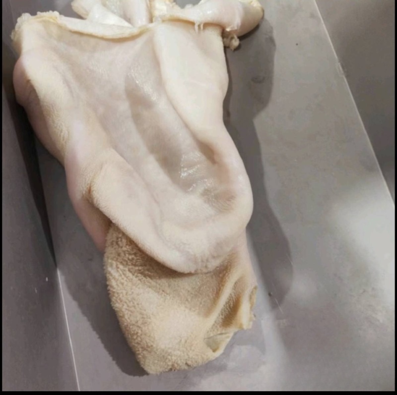 牛肚水熟无碱发水发牛肚牛肚牛肚牛肚牛肚牛肚熟牛肚