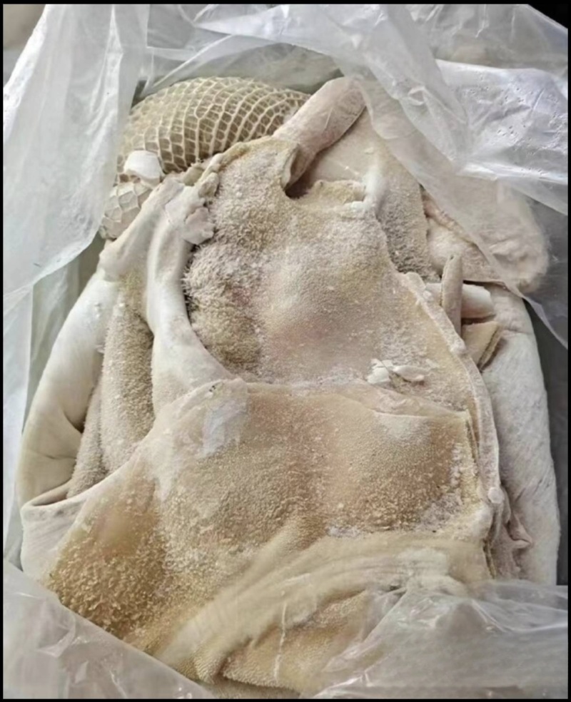 牛肚水熟无碱发水发牛肚牛肚牛肚牛肚牛肚牛肚熟牛肚